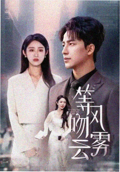 热播剧集无声证词封面